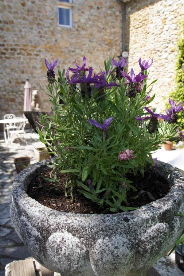 Maison Du Manoir Vallon-Pont-dʼArc Esterno foto